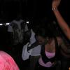 Picture-104