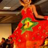 Winston Sill / Freelance Photographer
Pulse Investments Limited presents the Caribbean Model Search Finals, held at the Hilton Kingston Hotel, New Kingston on Sunday night September 6, 2009.