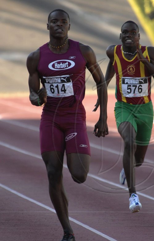 Ian Allen/Staff Photographer
Dexter Lee of William Knibbs High schoo winning heat 9 of the class 1 boys 200m at the 2009 Girls and Boys Atlethics Championships.