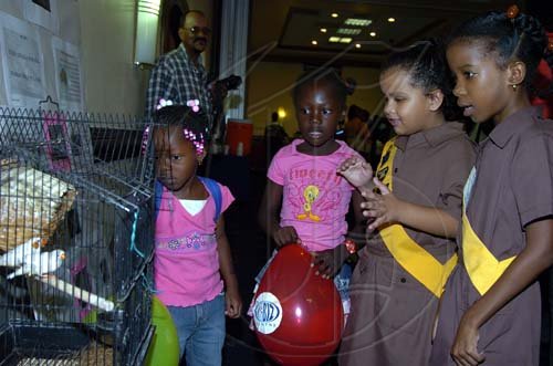 Peta-Gaye Clachar/Staff Photographer
Brownie guides Nia Laing (right) and Ysabel Delvaille from the Hopefield Prep educates Gabrielle Taylor (left) and Tashika Cousins about the two birds in the cage at the Dudley Grant Memorial Trust Early Childhood 2009 Development Expo at the Jamaica Pegasus on Tuesday, July 7, 2009.