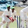 Youth Cricket