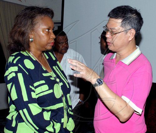 Colin?Hamilton/freelance photographer
Alex Soth, (Asian Cargo and Charter Consultancy) speaks with Dr. Carolyn Hayle (UWI) as the Caribbean Aerospace College hosted a dinner for a Singaporean Delegation comprising of members from the Singaporean Trade Counsel at the Jade Gardens Restaurant in the Sovereign Shopping Mall on Tuesday July 21, 2009.