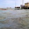 Petrojam Shipwreck