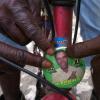 Ricardo Makyn/Staff Photographer.
Pre Nomination day preparation in West Portland on Thursday 5.3.2009.