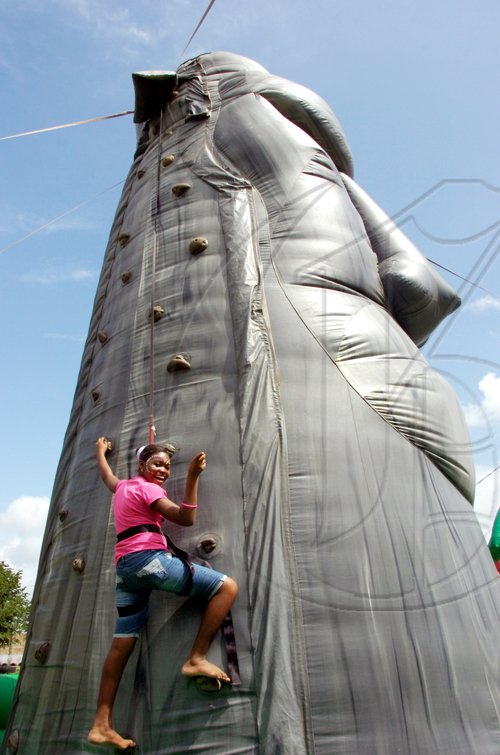 Norman Grindley/Chief Photographer
A girl takes time away from the flora and fauna on display at Denbigh to try out her rock-climbing skills yesterday.


Day two.