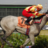 horse-racing-at-cyamanas-park