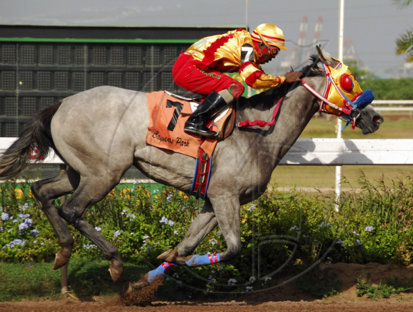 HorseracingA20090727CH