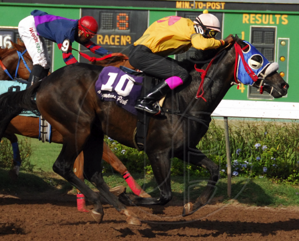 HorseracingB20090727CH