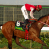 HorseracingD20090727CH
