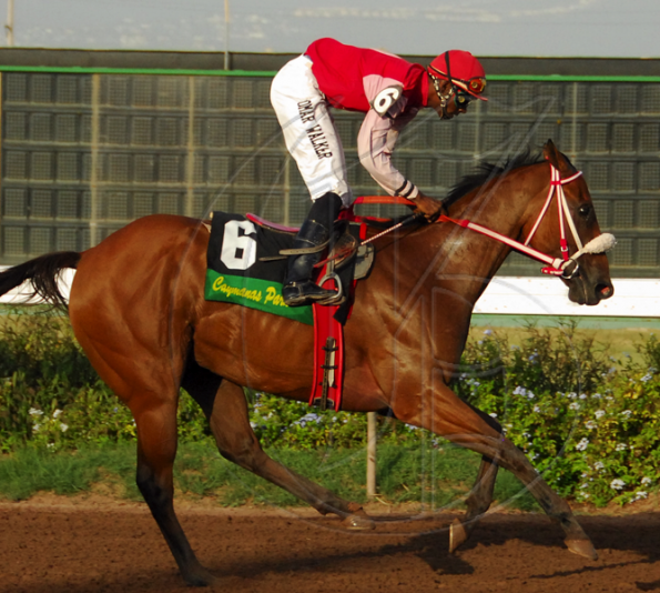 HorseracingD20090727CH
