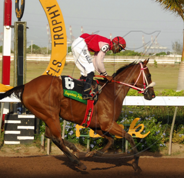 HorseracingE20090727CH