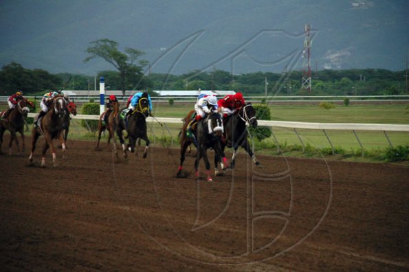 Colin Hamilton/Freelance Photographer
Horseracing at Caymanas Park on Saturday May 8, 2010.