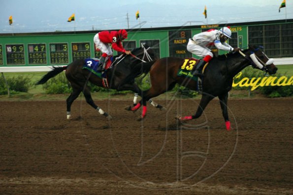 Colin Hamilton/Freelance Photographer
Horseracing at Caymanas Park on Saturday May 8, 2010.