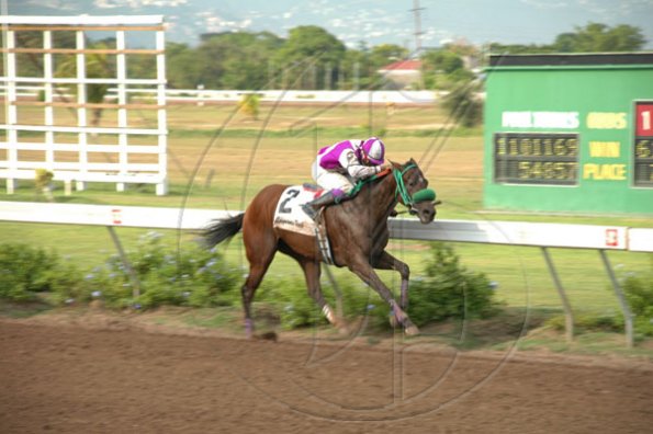 Colin Hamilton/Freelance Photographer
Horseracing at Caymanas Park on Saturday May 8, 2010.