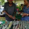 Jamaica Horticultural Show