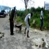 DSC01005-road-patching-myersville