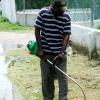 Labour Day Projects