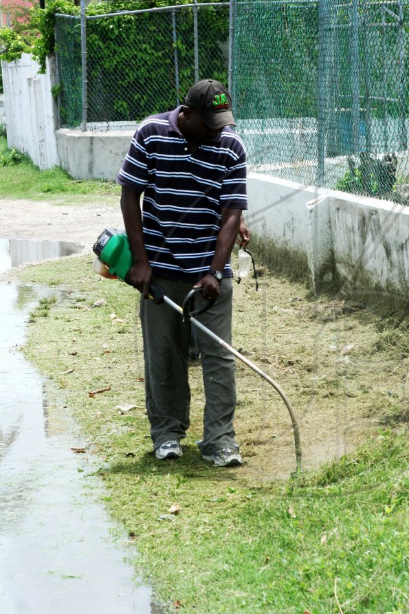 Labour Day Projects
