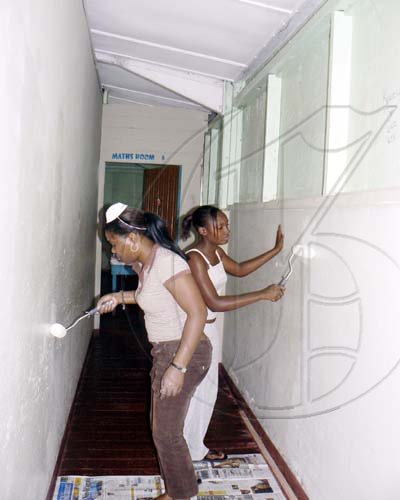 Labour Day Projects