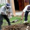 Labour Day Projects