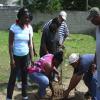 Labour Day Projects