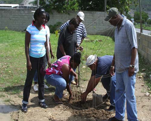 Labour Day Projects