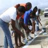Labour Day Projects