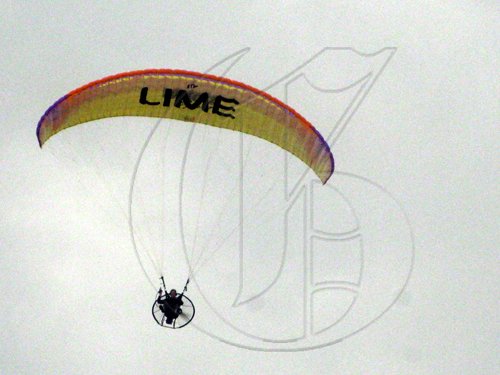 Photo by Mel Cooke

LIME powergliders made stately circles above the crowd, a few acrobatic moves causing a collective gasp.