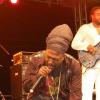 Marley Magic