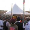 Picture-259