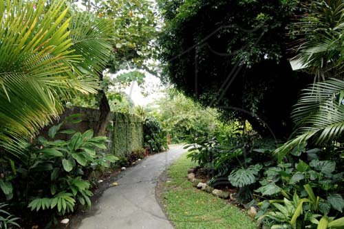 Ian Allen/Staff Photographer
The quarter mile jogging trail meanders through the gardens of the Pegasus.

Pegasus Gardens.