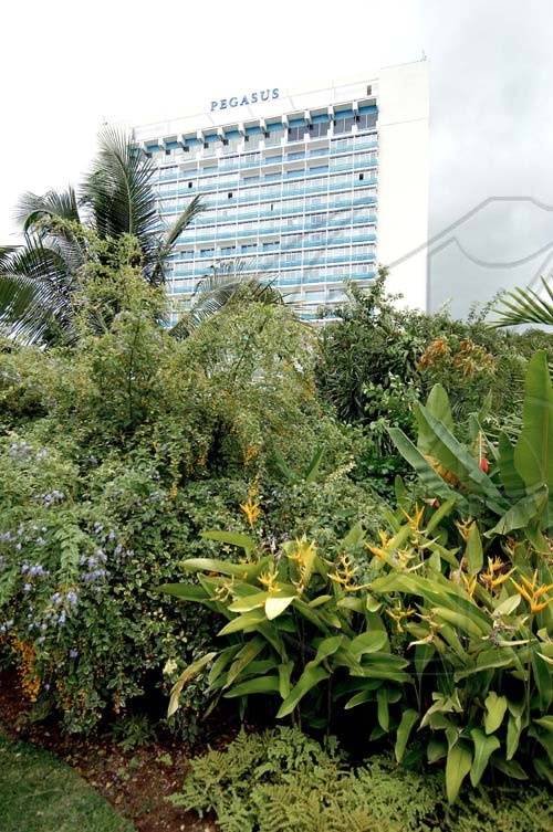 Ian Allen/Staff Photographe
Heleconias and duranta add a variety of colours to the grounds.

Pegasus Gardens.