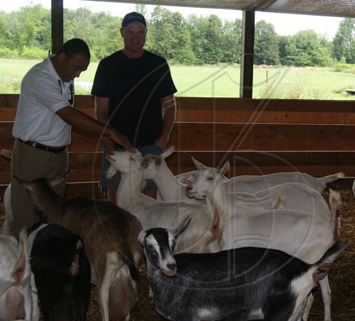 JIS PHOTO

                                                                                          Minister of Agriculture and Fisheries, Hon. Dr. Christopher Tufton (left), looking at some of the dairy goats belonging to goat farmer, John Oude Egberink (right), when the Minister and his delegation visited the Egberink Goat Farms in Ontario, Canada, recently.