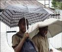 roving in the rain