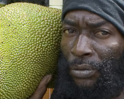 Round Jamaica