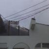 DSC00217